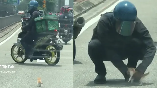 Aksi Ojol Selamatkan Kucing