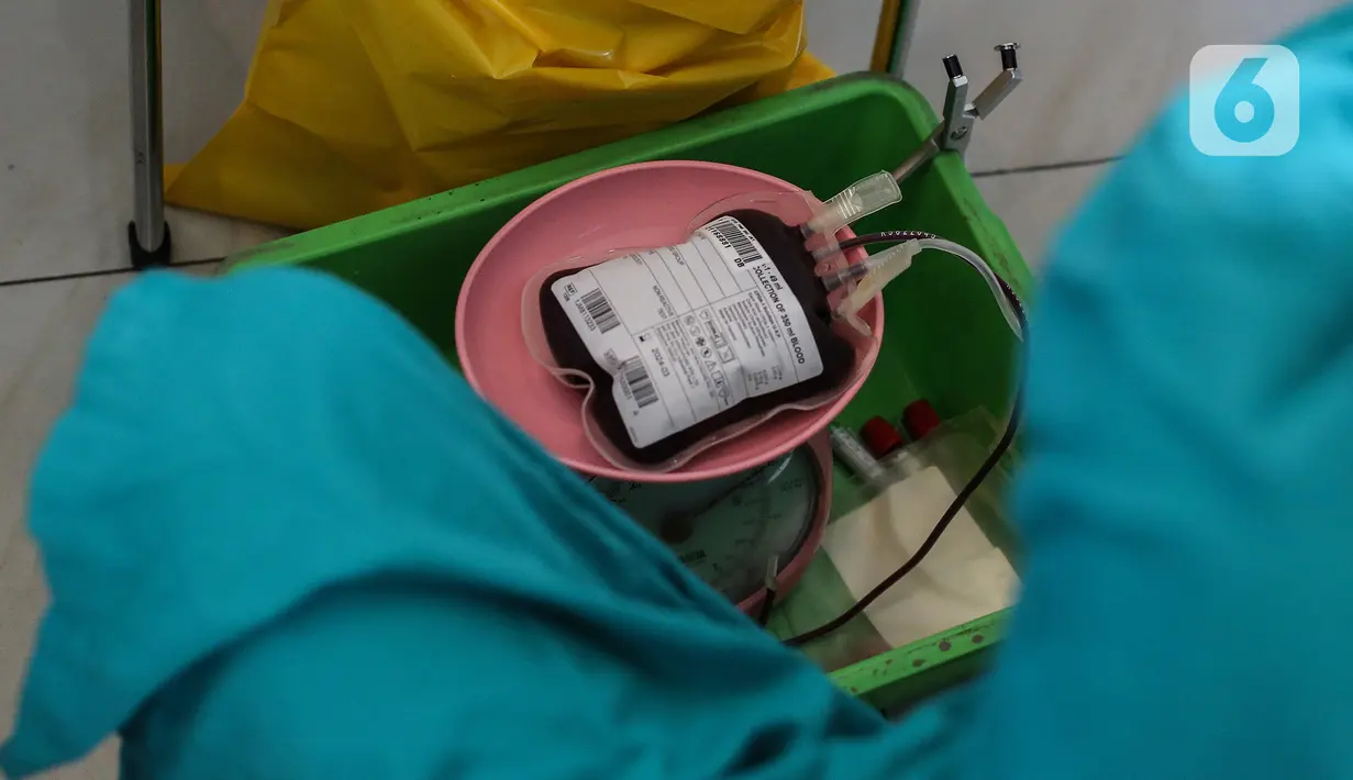 Petugas Palang Merah Indonesia (PMI) melakukan tranfusi darah pendonor di Gereja Protestan Indonesia Bagian Barat (GPIB) Effatha, Jakarta, Sabtu (14/8/2020). Kegiatan donor darah merupakan agenda rutin yang sempat terhenti akibat pandemi Covid-19. (Liputan6.com/Johan Tallo)