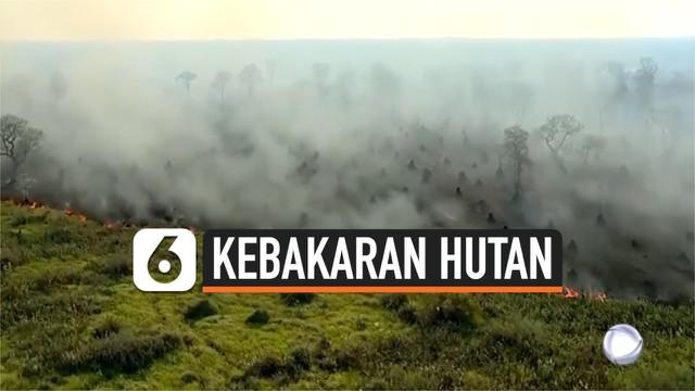 Petugas pemadam kebakaran berjuang melawan 393 titik api yang menerjang wilayah Pantanal, Brasil. Kebakaran yang terjadi sejak 26 Oktober ini telah menghanguskan 120 ribu hektar lahan.