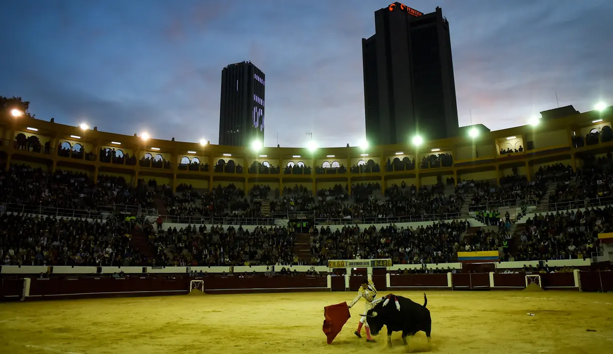 Seorang matador asal Spanyol, Enrique Ponce berusaha menaklukkan banteng di arena laga banteng La Santamaria, Bogota, Kolombia, 28 Januari 2018. (AFP PHOTO / Raul Arboleda)