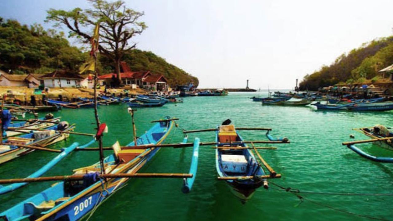 Akan Dikembangkan Jadi Kawasan Produksi Pangan Nasional 2025, Begini Cara Pemkab Gunungkidul Tingkatkan Produksi Ikan