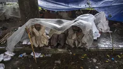 Pengunjuk rasa anti-pemerintah Pakistan bernaung di bawah lembaran plastik saat hujan deras menuntut pengunduran diri Perdana Menteri Nawaz Sharif, (4/9/2014). (REUTERS/Zohra Bensemra)