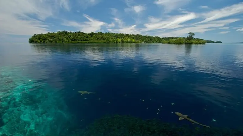 Perubahan Iklim Bukan Omong Kosong, Ini Bukti 5 Pulau Tenggelam