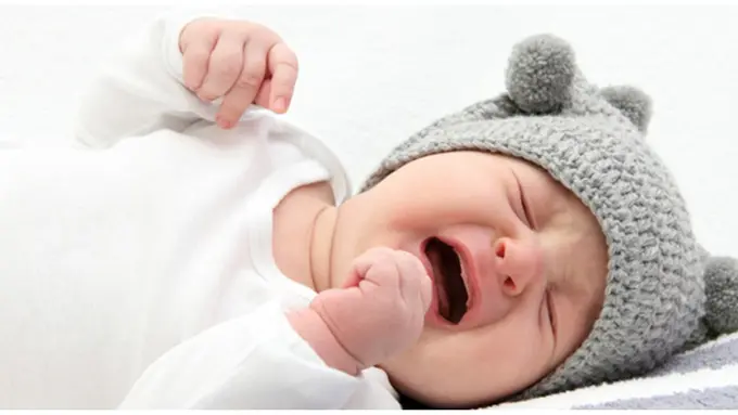 Foto : copyright thinkstockphotos.com