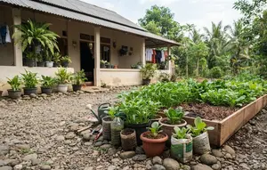 Cara Menyulap Sudut Pekarangan Berbatu Menjadi Kebun Sayur, Ini 9 Langkah yang Bisa Dicoba