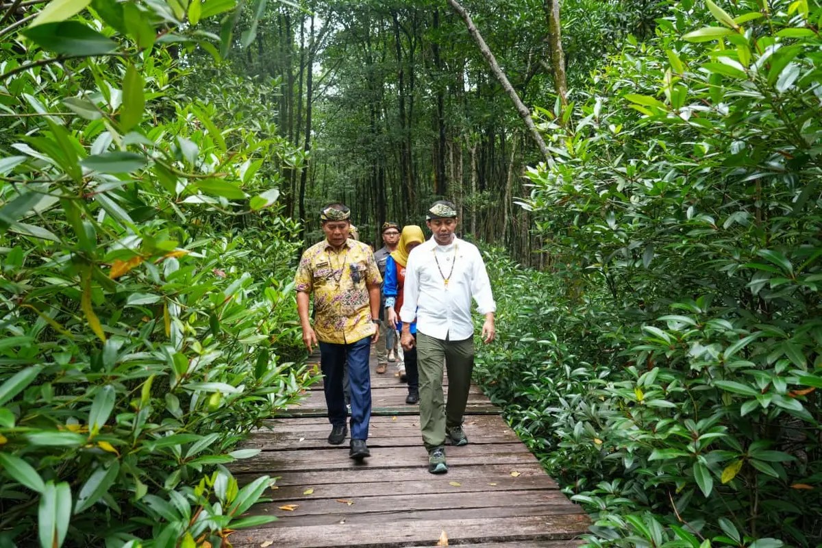 Menteri Kehutanan (Menhut) Raja Juli Antoni di Kawasan Konservasi Mangrove dan Bekantan, Kalimantan Utara (Istimewa)