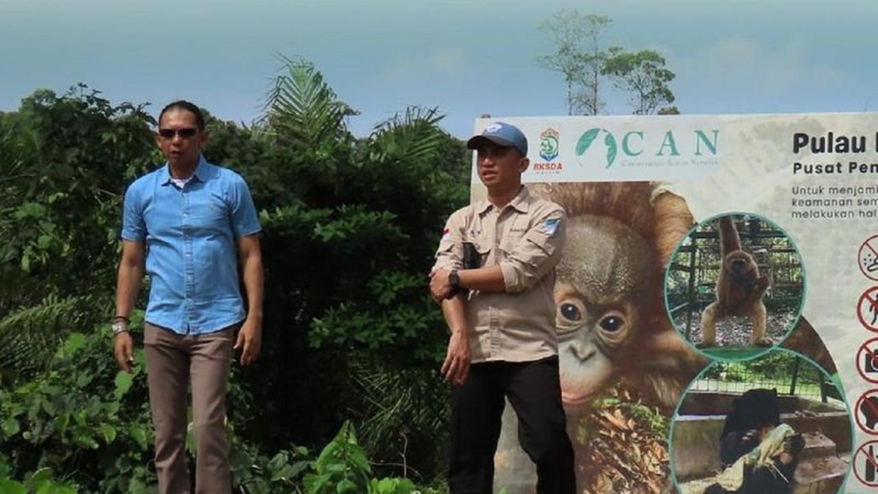 BKSDA Kaltim Pastikan Kesejahteraan Satwa PPS Long Sam Terpenuhi, Fasilitas Baru Siap Dukung Rehabilitasi