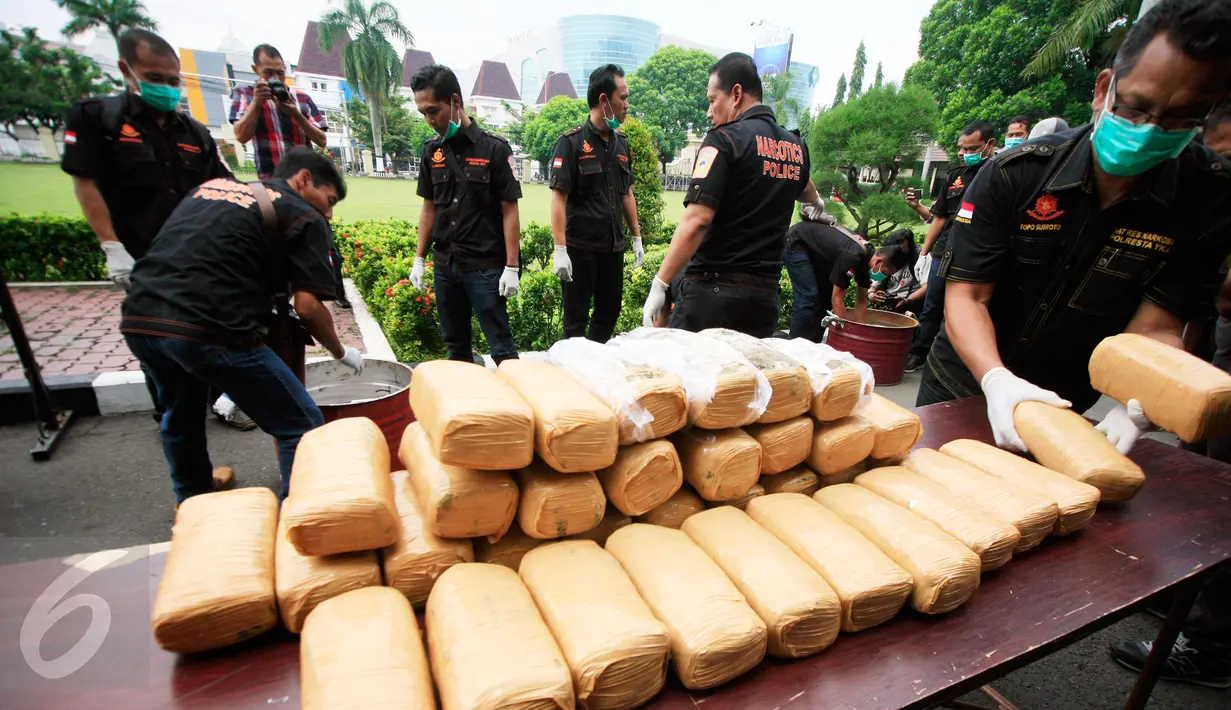 Direktorat Reserse Narkoba Polda DIY menunjukkan barang bukti sitaan berupa 49 kilogram ganja kering di Mapolda DI Yogyakarta, Selasa (8/3). Barang bukti tersebut merupakan hasil operasi Narkoba Progo sepanjang Februari 2016 lalu. (Foto : Boy Harjanto)