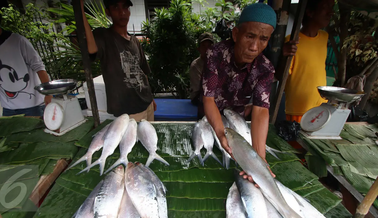 Pedagang memperlihatkan ikan bandeng berukuran besar, Rawabelong, Jakarta, Jumat (5/2/2016). Pedagang mengaku permintaan ikan bandeng melonjak menjelang perayaan Imlek. (Liputan6.com/Angga Yuniar) 
