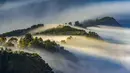 Secara administratif, Gunung Bromo berada di Desa Ngadisari, Kecamatan Sukapura, Kabupaten Probolinggo. Namun akses menuju kawasan Taman Nasional Bromo Tengger Semeru bisa ditempuh melalui empat wilayah kabupaten di Jawa Timur, yakni Probolinggo, Pasuruan, Lumajang, dan Malang. Tampak dalam foto, kabut pagi menyelimuti Ngadisari, Bromo, Jawa Timur. (merdeka.com/Arie Basuki)