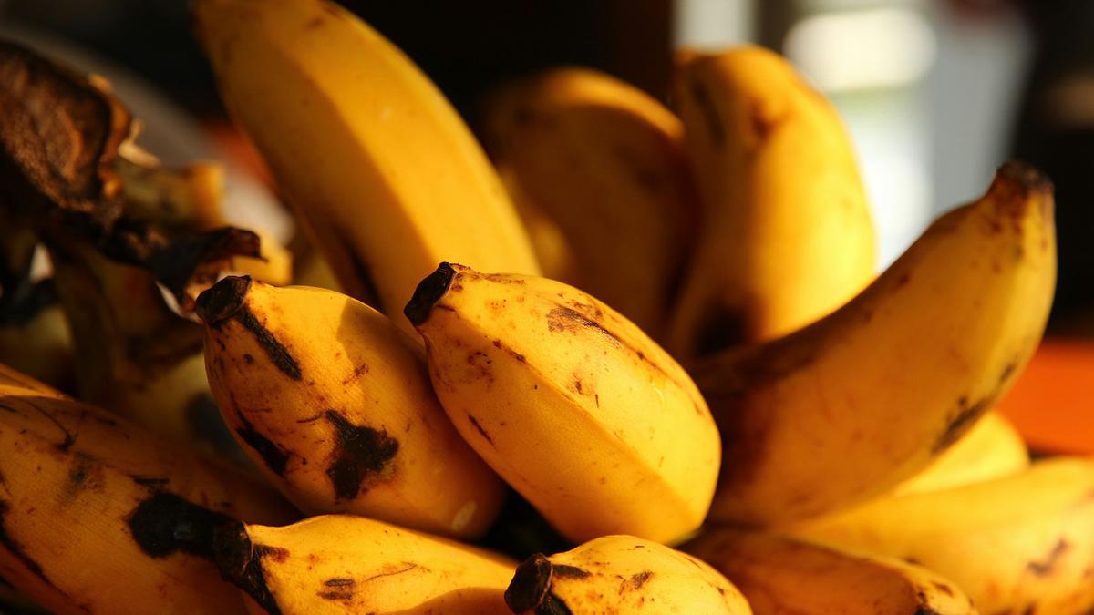 Kulit Pisang Jadi Pupuk Cair Super Subur, Begini Cara Membuatnya di Rumah