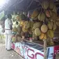 Penjual Buah Duku dan Duren di Sepanjang Jalan Lintas Antar Kabupaten