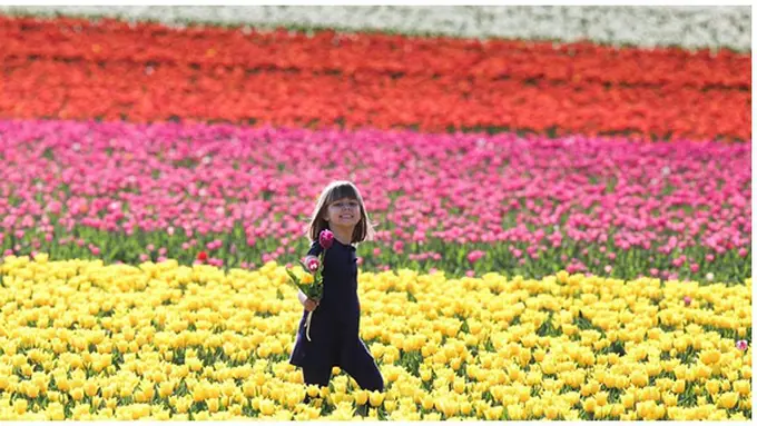 courtesy of Dailymail