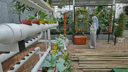 Warga melihat tumbuhan di Balkot Farm kawasan Balai Kota DKI Jakarta, Senin (15/7/2019). Balkot Farm merupakan implementasi dari konsep pertanian perkotaan atau urban farming dari berbagai jenis tanaman tumbuh kangkung, pakcoy, sawi, bayam, sereh, hingga lidah buaya. (Liputan6.com/Herman Zakharia)