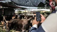 Azmi berbincang dengan calon konsumen melalui panggilan video di Peternakan Yuk Qurban, Depok, Rabu (22/7/2020). Pemilik peternakan Yuk Qurban itu menggunakan website dan aplikasi media sosial dalam memasarkan hewan kurban untuk memudahkan konsumen di tengah pandemi. (merdeka.com/Iqbal Nugroho)