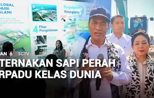 Peternakan Sapi Perah Terpadu Kelas Dunia