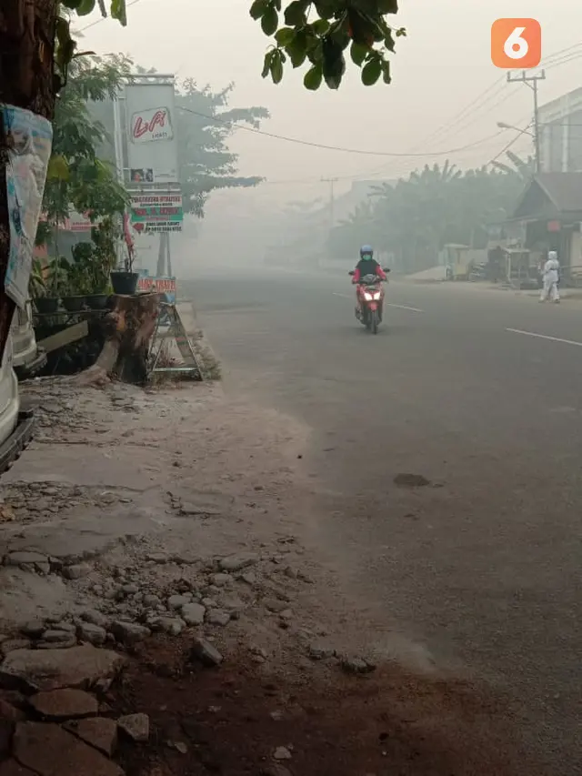 Kabut Asap, Kabut Asap Kalimantan Tengah, Kabut Asap Kalimantan Barat, Kabut Asap Pekanbaru