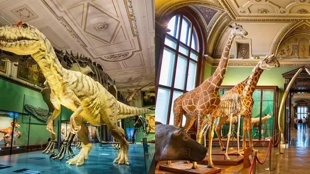 6 Museum Sejarah Alam Terunik di Dunia, Interiornya Bikin Kagum