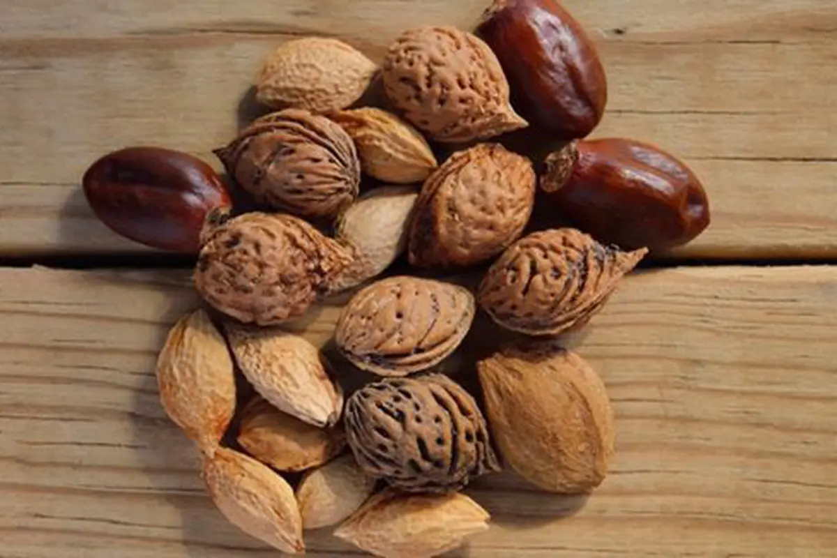 Kacang-kacangan/copyright Pexels.com/Miguel Á. Padriñán