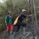 Hutan di Ranu Kembang Terbakar, Jalur Pendakian Gunung Semeru Ditutup Total