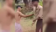 Polisi Amankan Terduga Pelaku Penganiayaan Siswa Kebumen Saat Antre MBG