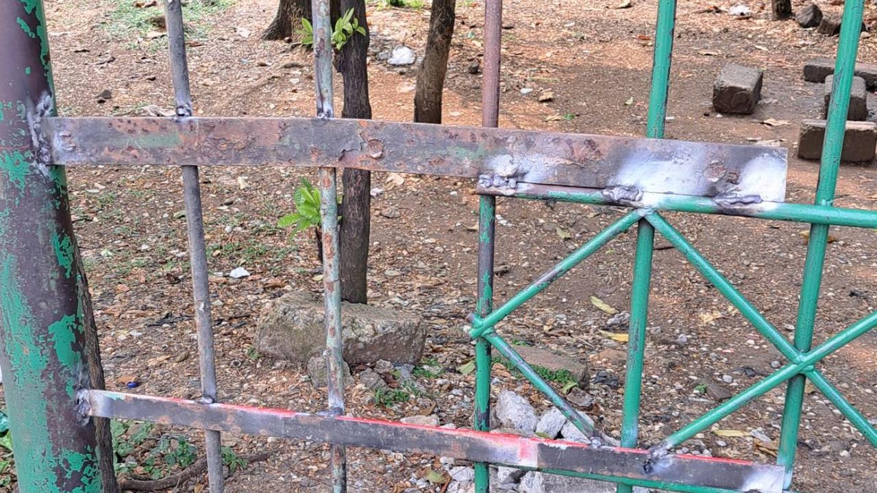 Pemprov DKI melakukan sederet upaya mencegah asusila kelompok lesbian, gay, biseksual dan transgender (LGBT) di Hutan Kota Cawang.