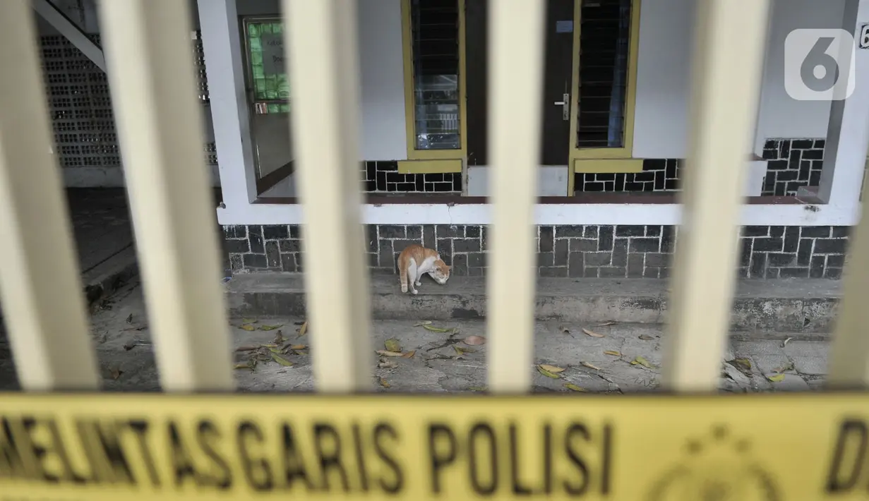 Seekor kucing terlihat di halaman rumah yang dijadikan klinik aborsi ilegal di Jalan Paseban Raya, Jakarta, Minggu (16/2/2020). Polda Metro Jaya membongkar praktik klinik aborsi ilegal yang sudah beroperasi sejak 2018 silam pada Jumat, 14 Februari 2020. (merdeka.com/Iqbal S Nugroho)