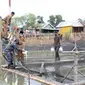 Kolonel Laut (P) Filda Malari bersama Wali Kota (Wako) Palembang Harnojoyo saat meninjau tambak lele di Kampung Bahari Nusantara (KBN) di Kelurahan 15 Ulu Palembang Sumsel (Dok. Humas Kominfo / Nefri Inge)