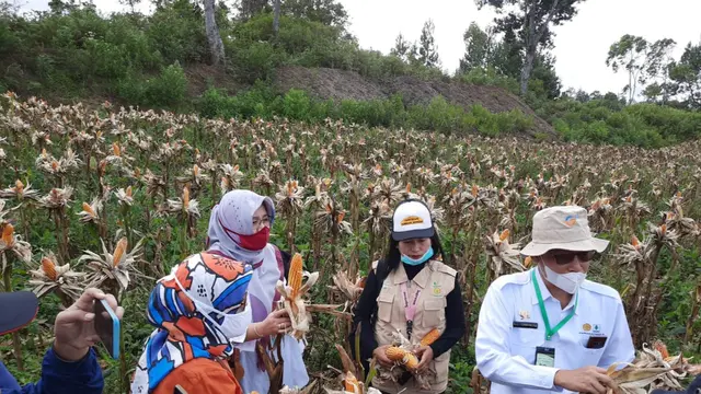 Kementan