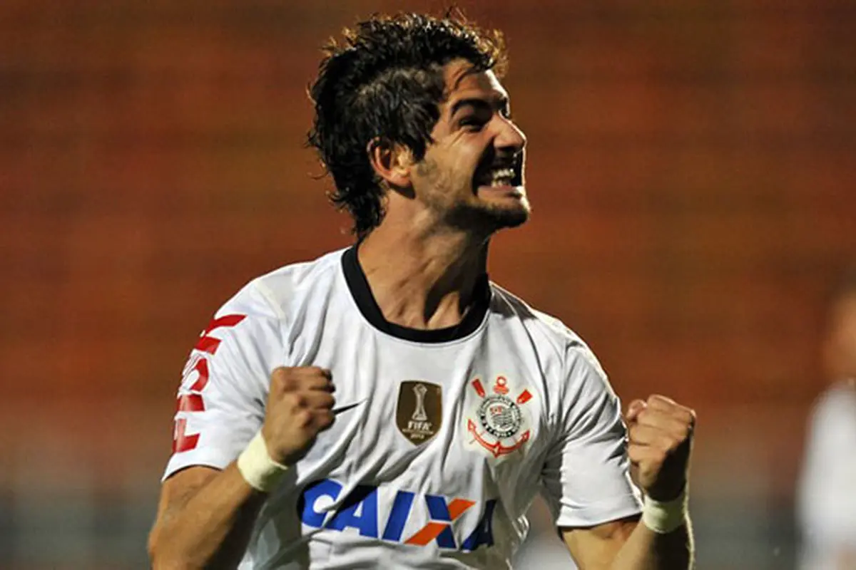 pato-131104b.jpg