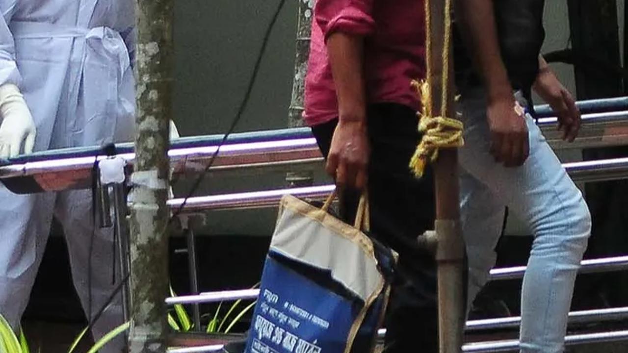 Heboh Virus Nipah, Begini Proses Penularan dan Cara Mengobatinya