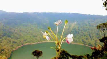 Keindahan Danau Kumbang terlihat dari puncak Masurai. (Liputan6.com/Gresi Plasmanto)