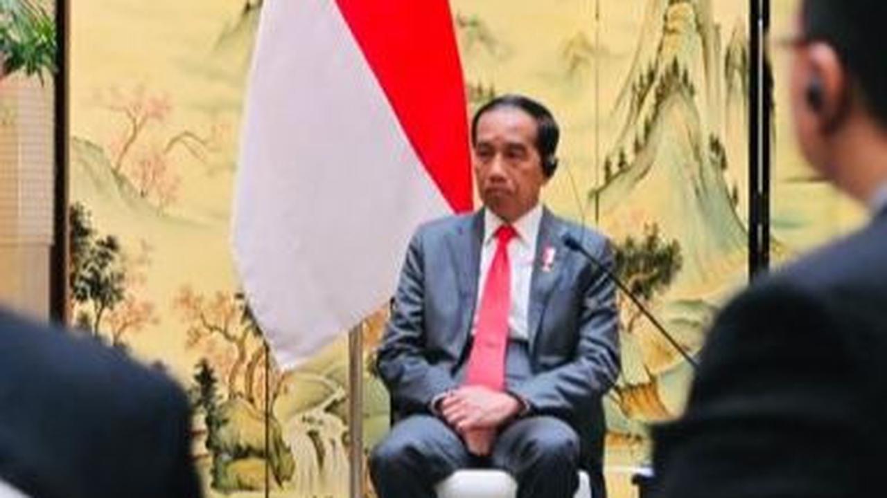 Depan Pengusaha China, Jokowi Sebut Sudah Siapkan 34.000 Hektare Lahan IKN untuk Investor