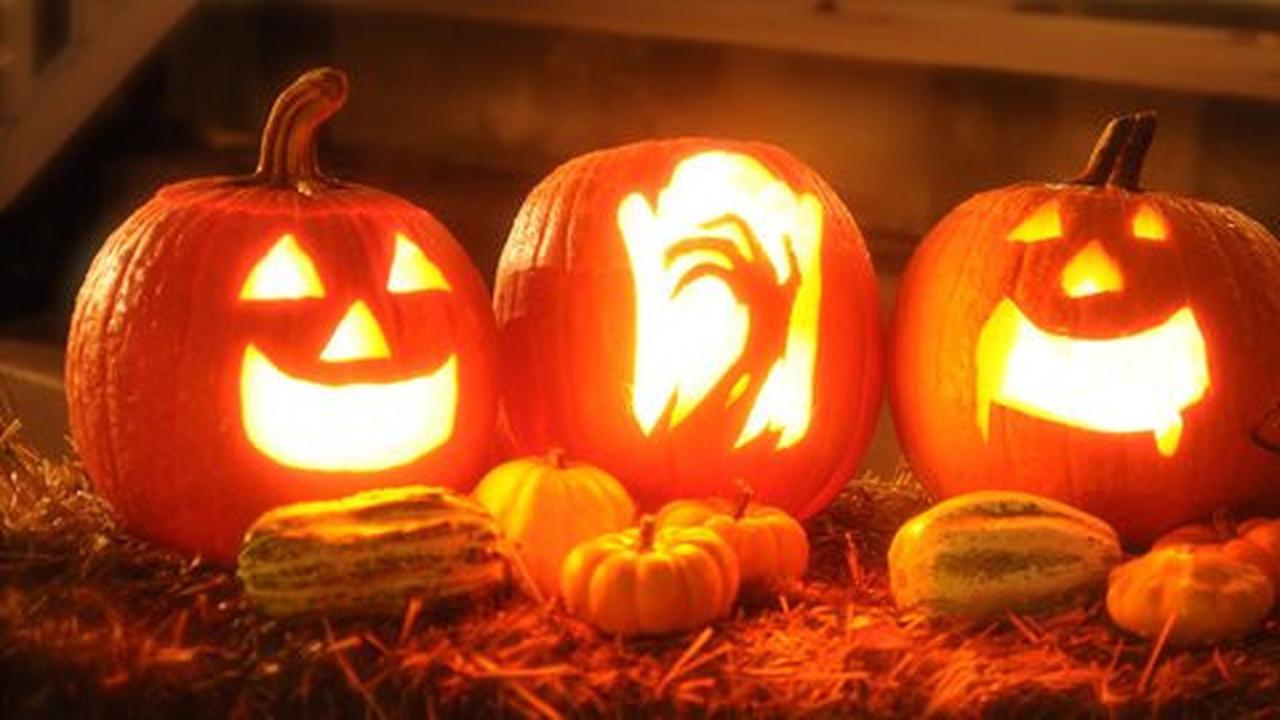 Ini Alasan Labu Identik dengan Halloween