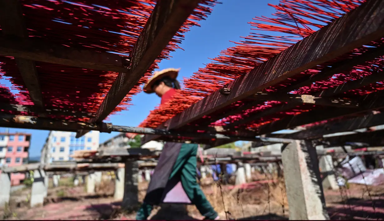 Pekerja menata dupa-dupa untuk dikeringkan di Pabrik Dupa Fujian Xingquan, Provinsi Fujian, China pada 11 Desember 2019. Penduduk setempat mengklaim satu dari setiap tiga batang dupa yang dijual di Asia Tenggara dibuat di Yongchun, daerah pegunungan di Provinsi Fujian tenggara. (HECTOR RETAMAL/AFP)