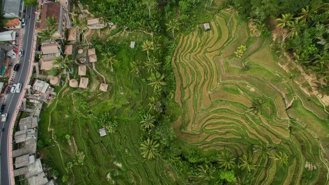[Bintang] Simak! 10 Foto Paling Keren yang Diambil pakai Drone di 2015