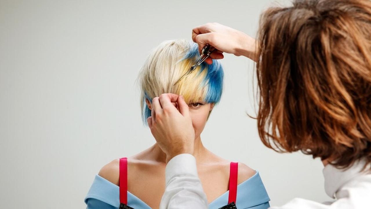 Tipe-Tipe Cat Rambut yang Perlu Diketahui