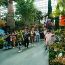 Indonesia Jadi Negara Asia Tenggara Pertama yang Gelar Pameran di Gardens by the Bay Singapura