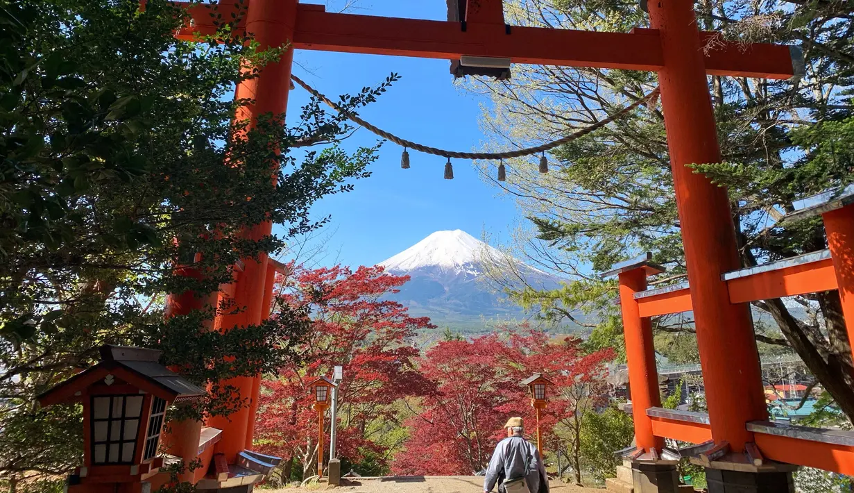 Seorang pria berjalan di bawah tori di kuil Arakura Fuji Sengen saat Gunung Fuji terlihat dari kota Fujiyoshida, prefektur Yamanashi, Jepang, pada Kamis (22/4/2021). Gunung Fuji merupakan gunung tertinggi di Jepang dengan tinggi sekitar 3.776 meter dari atas permukaan laut. (Behrouz MEHRI / AFP)