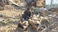 Ma Yusheng hidup dengan puluhan anjingnya di sebuah gudang kumuh yang dipenuhi dengan barang rongsokan.