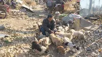 Keren, Tunawisma Ini Sediakan Rumah Bagi Ratusan Anjing Liar