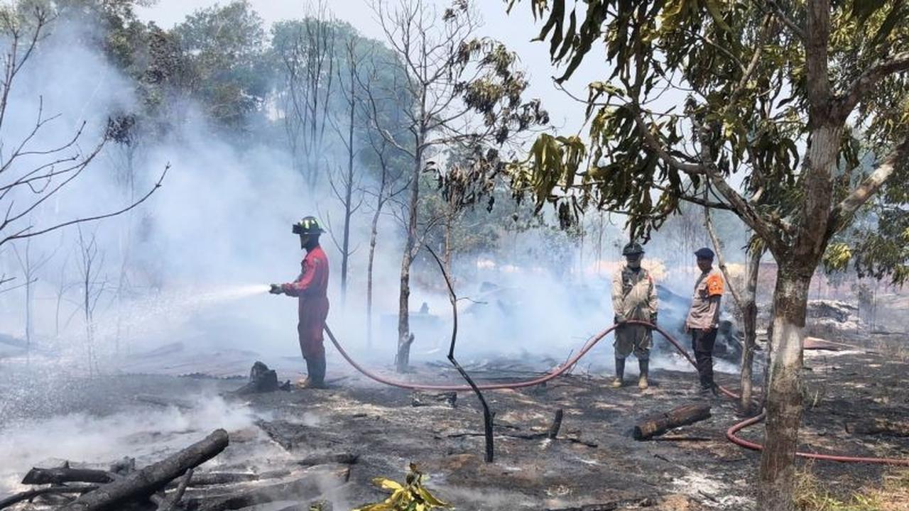 Pemkot Tanjungpinang Tetapkan Status Siaga Karhutla, Warga Diimbau Waspada