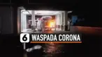 corona garut