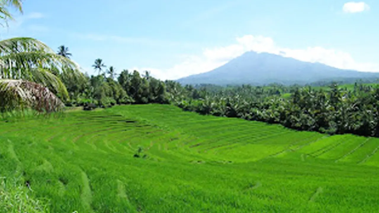 131106alam.jpg