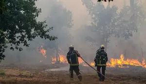 400 Amunisi Perang Dunia II Ditemukan Usai Kebakaran Hutan