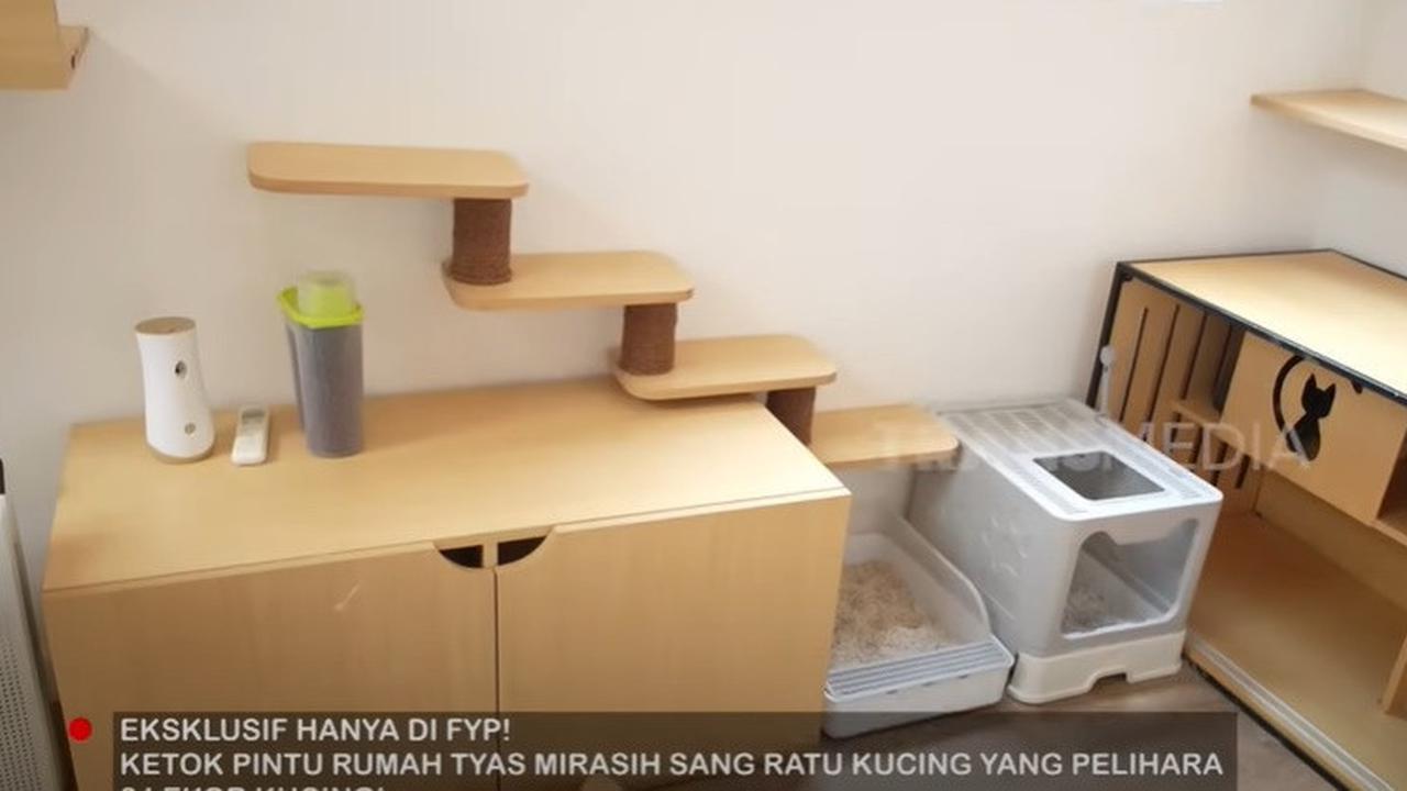 7 Potret Rumah Kucing Tyas Mirasih bak Asrama, Dihuni 24 Ekor Anabul - Ada Ruang Melahirkan