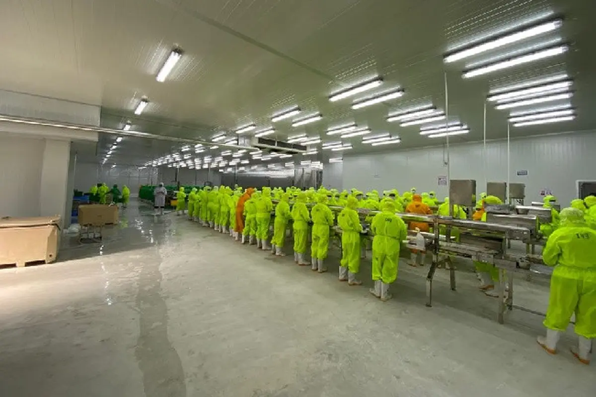 Pabrik ke-8 milik PT Panca Mitra Multiperdana Tbk (PMMP) di Situbondo, Jawa Timur (Dok: Istimewa)