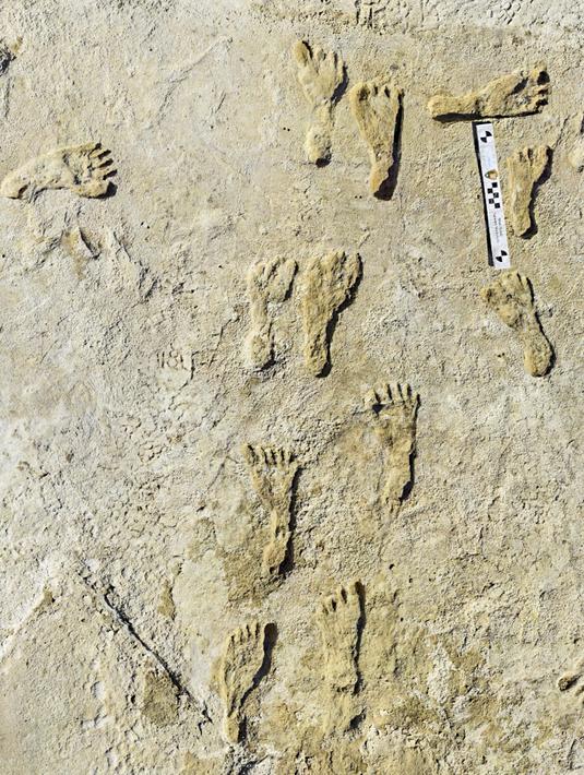Foto tak bertanggal yang dirilis pada September 2021 menunjukkan fosil jejak kaki manusia di White Sands National Park di New Mexico. Jejak kaki pertama ditemukan di dasar danau kering di Taman Nasional White Sands pada tahun 2009. (National Park Service and Bournemouth University via AP)