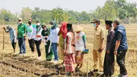    Biotani melaksanakan tandur jagung bareng petani binaan Ponpes Syamsul Arifin, Pasuruan (istimewa).
