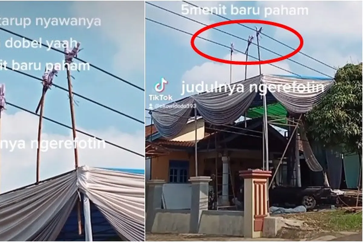 Viral Ulah Tukang Tenda Bikin Repot Petugas Listrik Ini Bikin Geleng Kepala